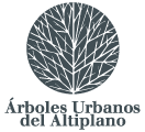 Árboles Urbanos del Altiplano